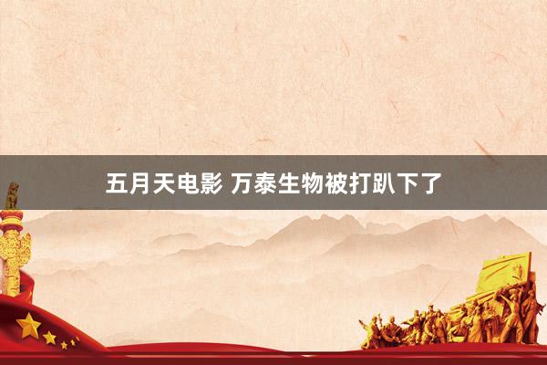 五月天电影 万泰生物被打趴下了