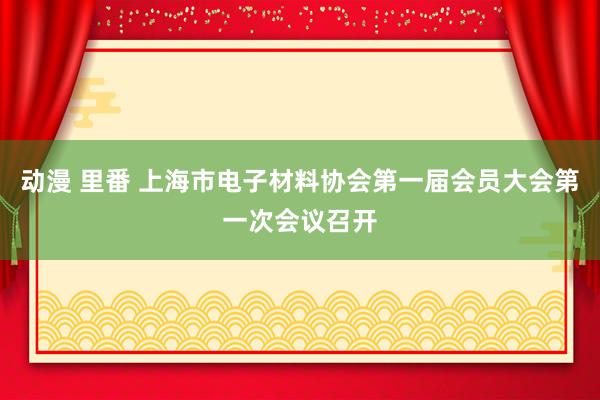 动漫 里番 上海市电子材料协会第一届会员大会第一次会议召开