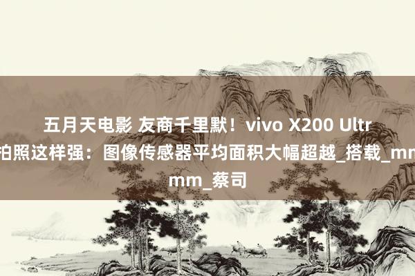 五月天电影 友商千里默！vivo X200 Ultra为何拍照这样强：图像传感器平均面积大幅超越_搭载_mm_蔡司
