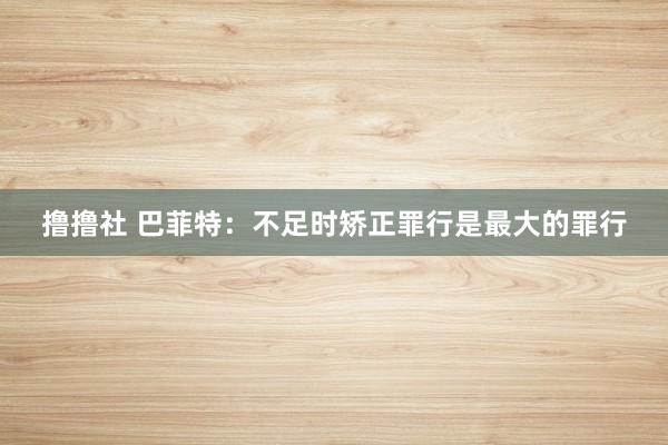撸撸社 巴菲特：不足时矫正罪行是最大的罪行