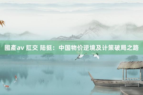 國產av 肛交 陆挺：中国物价逆境及计策破局之路