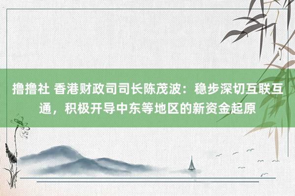 撸撸社 香港财政司司长陈茂波：稳步深切互联互通，积极开导中东等地区的新资金起原