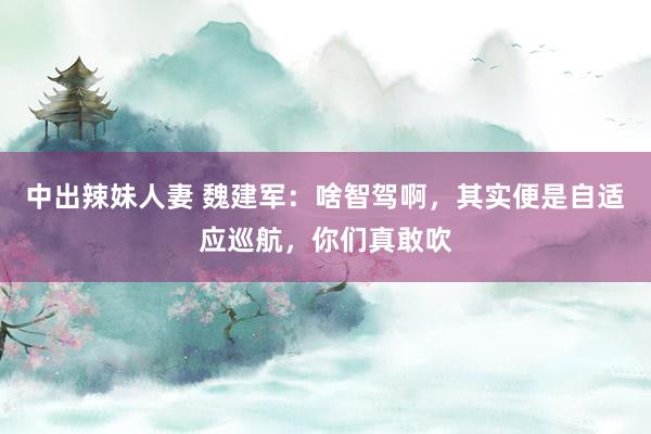 中出辣妹人妻 魏建军：啥智驾啊，其实便是自适应巡航，你们真敢吹