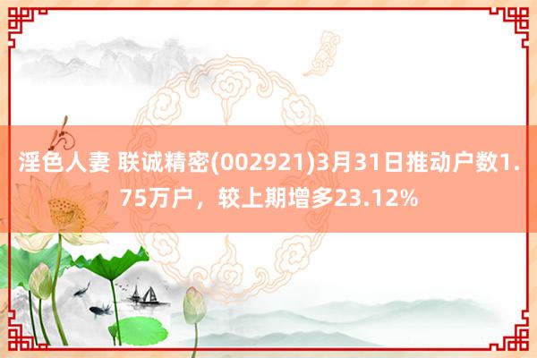 淫色人妻 联诚精密(002921)3月31日推动户数1.75万户，较上期增多23.12%