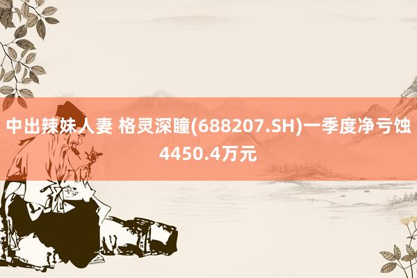 中出辣妹人妻 格灵深瞳(688207.SH)一季度净亏蚀4450.4万元